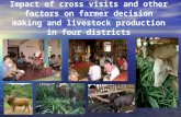 Impact of cross visits and other factors on farmer decision making and livestock production in four districts.
