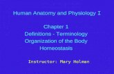 Human Anatomy and Physiology I Chapter 1 Definitions - Terminology Organization of the Body Homeostasis Instructor: Mary Holman.