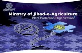 Minstry of Jihad-e-Agriculture Plant Protection Organization.