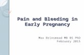 Pain and Bleeding in Early Pregnancy Max Brinsmead MB BS PhD February 2015.