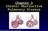 © 2007 McGraw-Hill Higher Education. All rights reserved. Chapter 3 Chronic Obstructive Pulmonary Disease.