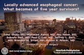 Background  Reports of long-term survivors (≥5 years) of locally advanced esophageal cancer (LAEC) have focused mainly on HRQL or GI symptoms  Only.