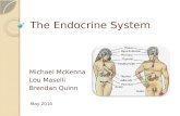 The Endocrine System Michael McKenna Lou Maselli Brendan Quinn May 2014.