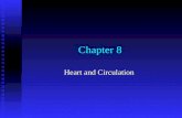 Chapter 8 Heart and Circulation. Figure 8.1 Basic structure of the heart. RA is the right atrium, RV is the right ventricle; LA is the left atrium, and.