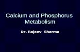 Calcium and Phosphorus Metabolism Dr. Rajeev Sharma.