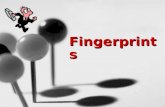 Fingerprints. The Study of Fingerprints: Dactyloscopy.