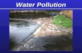 Water Pollution. Water, Air, Land …. The solution to pollution is dilution….?