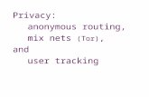 Privacy: anonymous routing, mix nets (Tor), and user tracking.