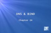 DNS & BIND Chapter 24. This Chapter DNS Overview.