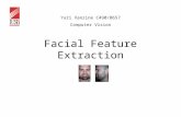 Facial Feature Extraction Yuri Vanzine C490/B657 Computer Vision.