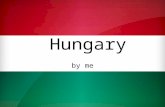 Hungary by me. Location Facts The longest river is the Duanube which is also the longest in Europe. The biggest lake is the Balaton. The highest mountain.