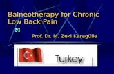 Balneotherapy for Chronic Low Back Pain Prof. Dr. M. Zeki Karagülle.