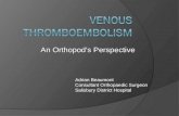 An Orthopod’s Perspective Adrian Beaumont Consultant Orthopaedic Surgeon Salisbury District Hospital.
