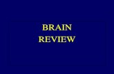 BRAIN REVIEW. Intraparenchymal hematoma Trauma, HTN, stroke, venous thrombosis, amyloid, vascular lesion, neoplasm, hypocoagulability With SAH or SDH,