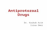 Antiprotozoal Drugs Dr. Kaukab Azim Israa Omer. Be able to recognize the main therapeutic uses of the drugs of each class Be able to indicate the main.