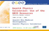 INFSO-RI-508833 Enabling Grids for E-sciencE  Geant4 Physics Validation: Use of the GRID Resources Patricia Mendez Lorenzo CERN (IT-GD)