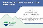 Nano-sized Zero Valence Iron Detection Jing Zhenqing Shi Paul G. Tratnyek Division of Environmental Biomolecular Systems Oregon Health & Science University.