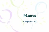 Plants Chapter 22. Setting the Stage for Plants Earth’s atmosphere was originally oxygen free Ultraviolet radiation bombarded the surface Photosynthetic.