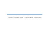 SAP ERP Sales and Distribution Solutions. Sales Scope items.