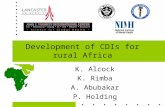 Development of CDIs for rural Africa K. Alcock K. Rimba A. Abubakar P. Holding.