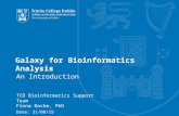 Galaxy for Bioinformatics Analysis An Introduction TCD Bioinformatics Support Team Fiona Roche, PhD Date: 31/08/15.