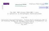 The ERK- MAP Kinase-PEA3-MMP-1 axis is operative in Oesophageal Adenocarcinoma Yeng Ang Consultant Gastroenterologist, Salford Royal University NHS FT.