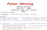 Burkard Reisert June 11 th, 2004 Fermilab, High Rise, Hornet Nest Pulsar Meeting Ted’s overview talk: Pulsar production/testing success !  all hardware.