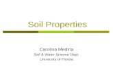 Soil Properties Carolina Medina Soil & Water Science Dept. University of Florida.