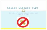 BY: ASHLEY DUDMAN, ASHLEY MURRAY AND CHELSEA ENRIGHT Celiac Disease (CD)