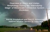 Overview of Storm and Vortex Morphology During the ‘Intensifying Stage’ of Mesoscale Convective System Evolution. Ron W. Przybylinski and Gary K. Schmocker.