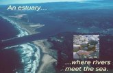 An estuary… …where rivers meet the sea. Estuaries in Oregon River dominated Bar-built Drowned river mouth Blind.