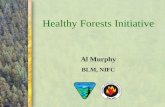 Healthy Forests Initiative Al Murphy BLM, NIFC. In August 2002, President Bush announced the “Healthy Forests Initiative for Wildfire Prevention and Stronger.