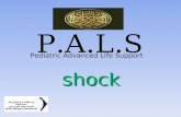 Shock shock P.A.L.S Pediatric Advanced Life Support.