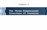 Chapter 4 The Three-Dimensional Structure of Proteins.