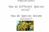 How does Natural Selection affect the Genetics of Populations? How do different Species arise? How do Species become Extinct?