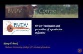 Kenny V. Brock Auburn University, College of Veterinary Medicine BVDV vaccination and prevention of reproductive infections.