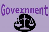 Government A system, group, or individual that makes decisions for the people in a social group, state, or nation.