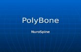 PolyBone NuroSpine. Cranio-Facial Bone defect * Trauma * Trauma * Surgically induced * Surgically induced * Cranio-facial bone tumor * Cranio-facial bone.