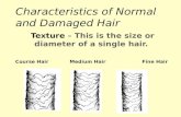 Characteristics of Normal and Damaged Hair Texture – This is the size or diameter of a single hair. Course Hair Medium Hair Fine Hair.