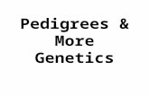 Pedigrees & More Genetics. Pedigree Male Female Heterozygous Shows trait.