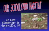 In the spring of 2000, we began creating our schoolyard habitat.