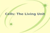 Cells: The Living Unit. Cells – general 4 aspects of cell theory –cell theory –A cell is the basic structural & functional unit of life Cell properties.