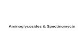 Aminoglycosides & Spectinomycin. Part A Aminoglycosides.