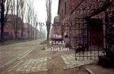 Holocaust: The Final Solution. Holocaust 1.The Nuremberg Laws 2.The Final Solution 3.Final Solution in Action 4.Ghettos – Warsaw Ghetto and Einsatzgruppen.