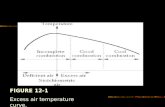 FIGURE 12-1 Excess air temperature curve.. FIGURE 12-2 HCl/Cl2 equilibrium.