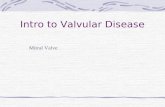 Intro to Valvular Disease Mitral Valve. Valvular Heart Disease Heart contains Two atrioventricular valves Mitral Tricuspid Two semilunar valves Aortic.
