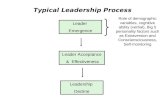 Leader Acceptance & Effectiveness Leadership Decline Leader Emergence Typical Leadership Process Role of demographic variables, cognitive ability (verbal),