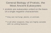 General Biology of Protists, the Most Ancient Eukaryotes protists are eukaryotes united on the basis of a single negative characteristic  they are not.