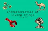 Characteristics of Living Things! Biology 137. What is biology? Let’s break it down… –bios = “life” –ology = “study of” So…Biology = Study of life.