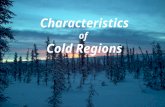 REV- 000407 1 Characteristics of Cold Regions. REV- 000407 2 Terminal Learning Objective Action: Analyze terrain in cold regions Condition: In a field.